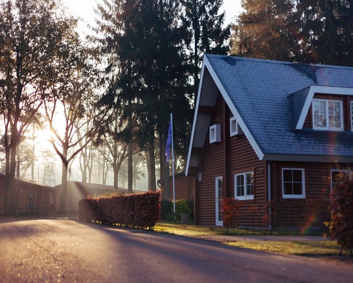 A family house on a tree-lined road